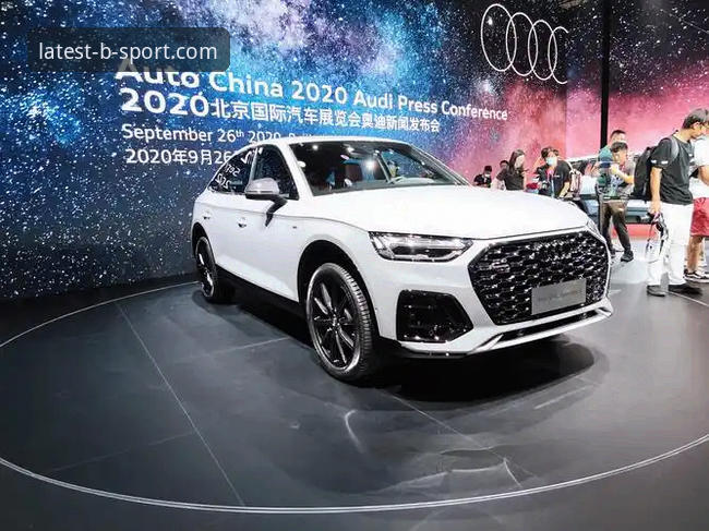 揭秘BSPORT：这个体育娱乐平台为何让用户张伟直言"早该知道"
